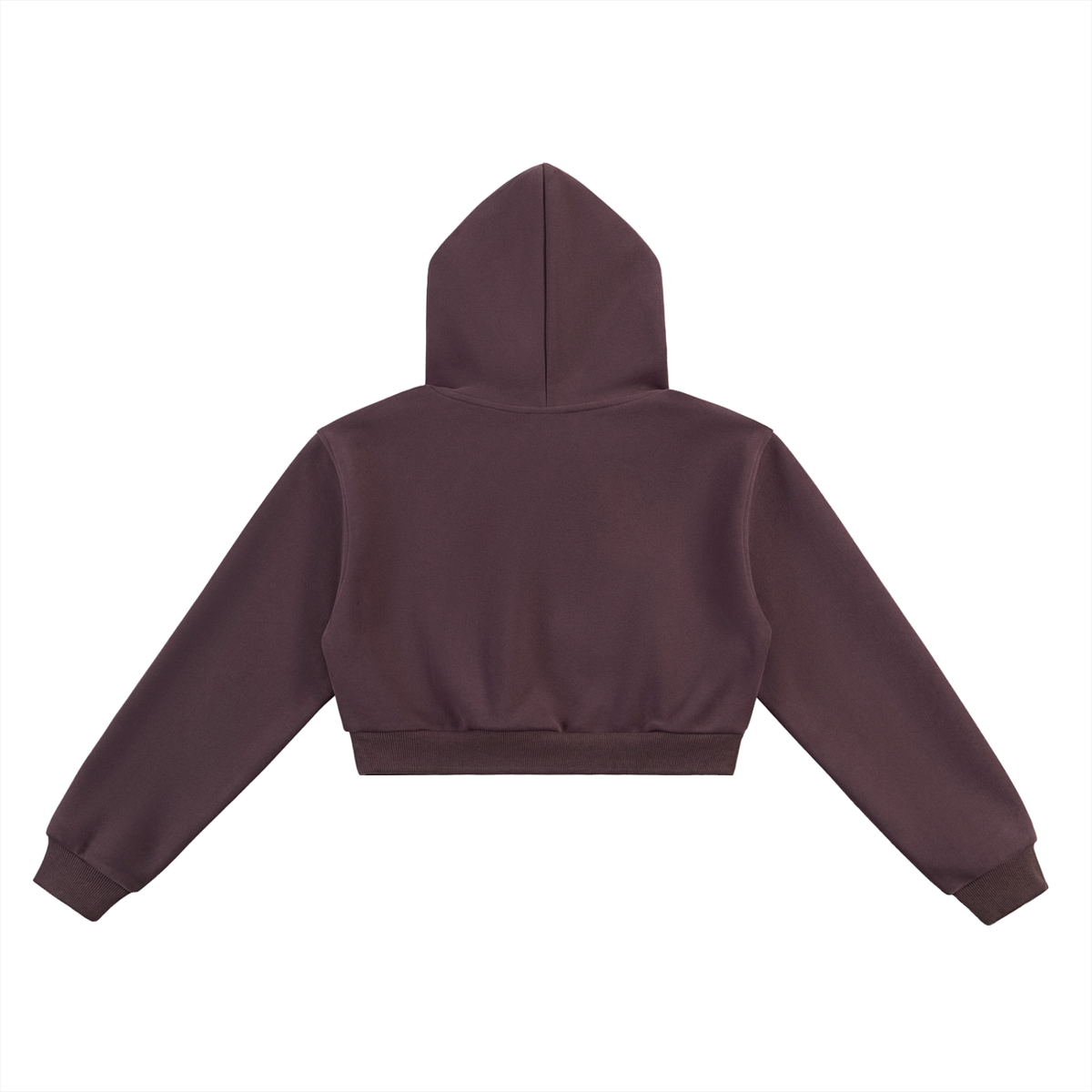 I Can Do Hard Things Cropped Hoodie, women's streetwear, view 4
