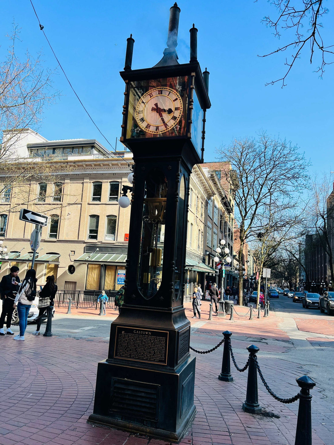 Moving Continents Changed How We Live and Love