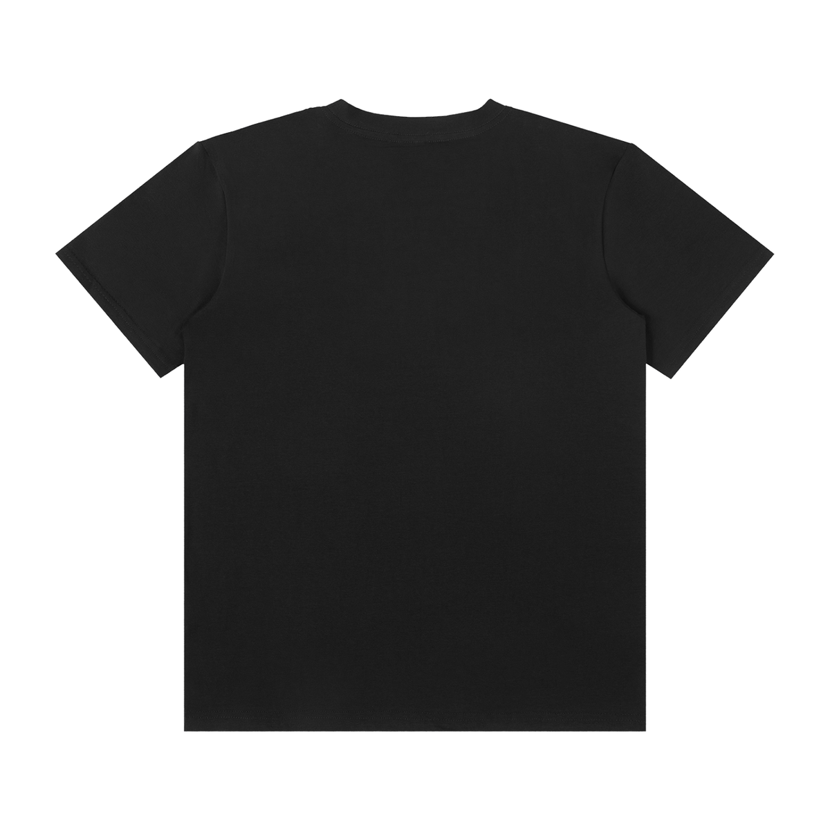 Soulmates on Tour Classic Tee, unisex streetwear, view 2
