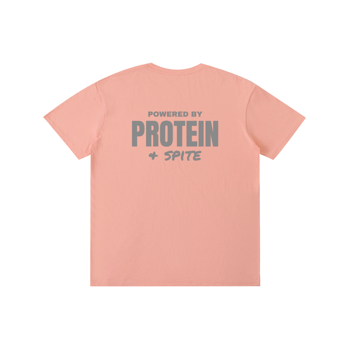 Powered by Protein & Spite funny gym t-shirt, unisex, view 7