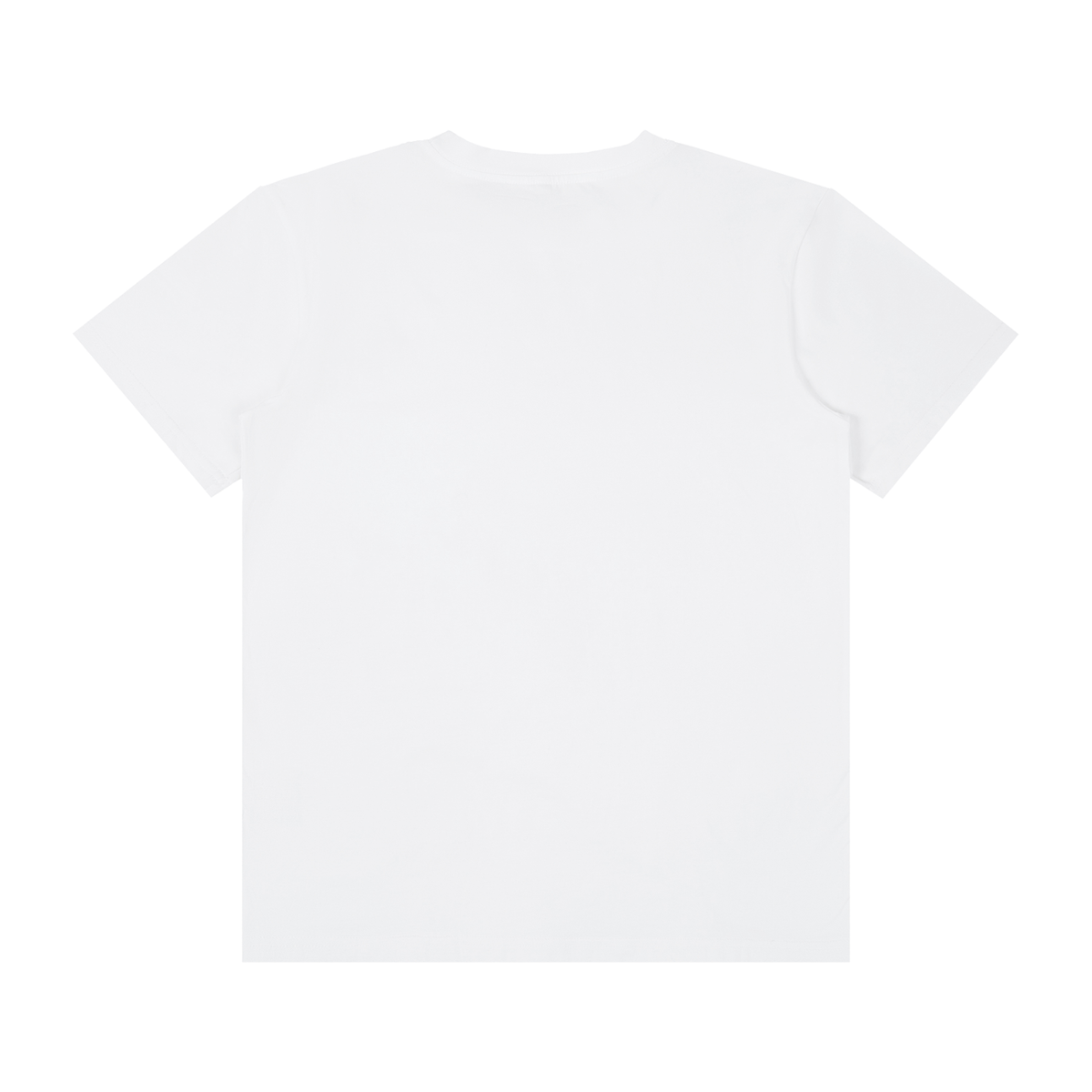Soulmates on Tour Classic Tee, unisex streetwear