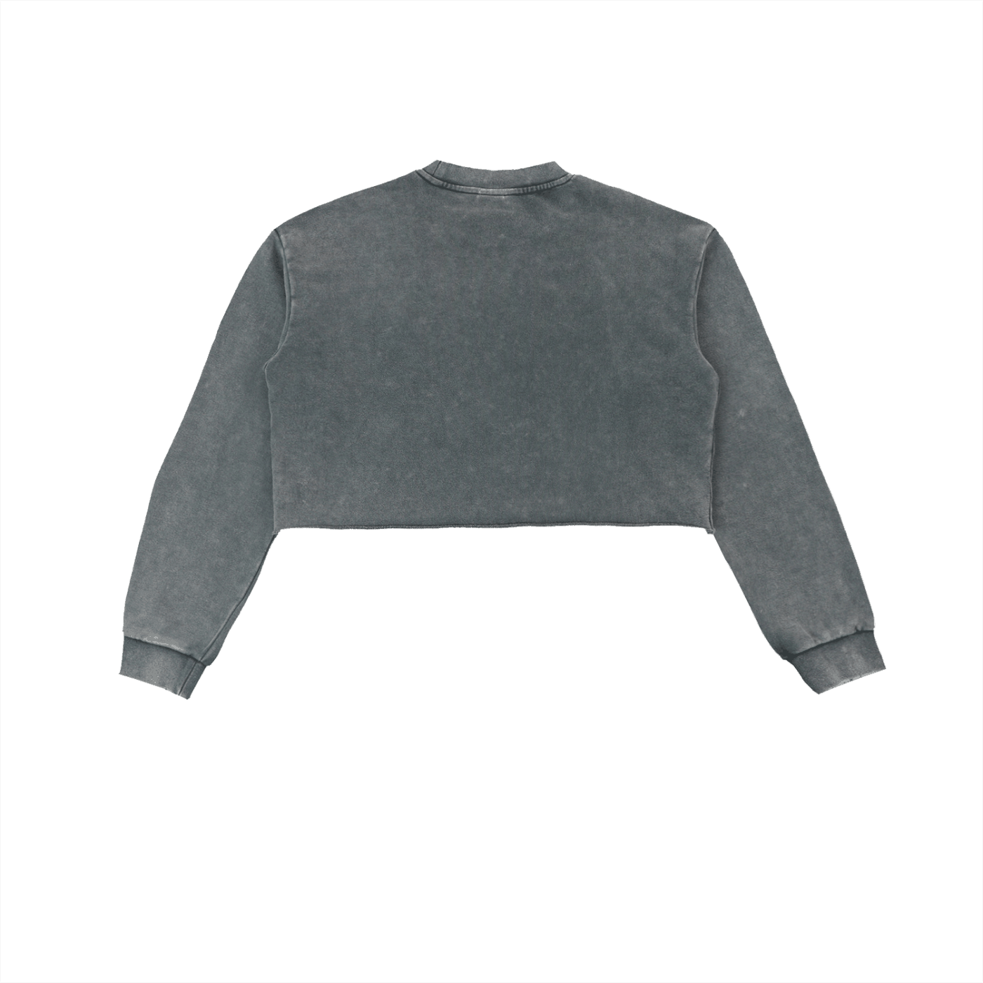 Soulmates on Tour cropped snow washed sweatshirt with raw edge and long sleeves in gray
